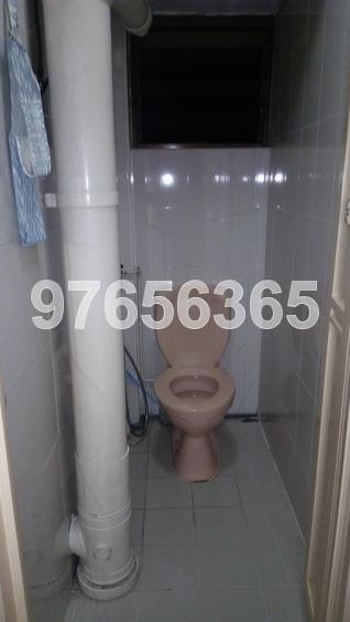 Blk 101 Whampoa Drive (Kallang/Whampoa), HDB 4 Rooms #165721622